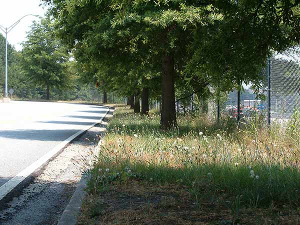 Indian Trail Park n' Ride - BEFORE